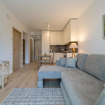 Moho Mezaparks Cozy New Privat Parking Apartman *