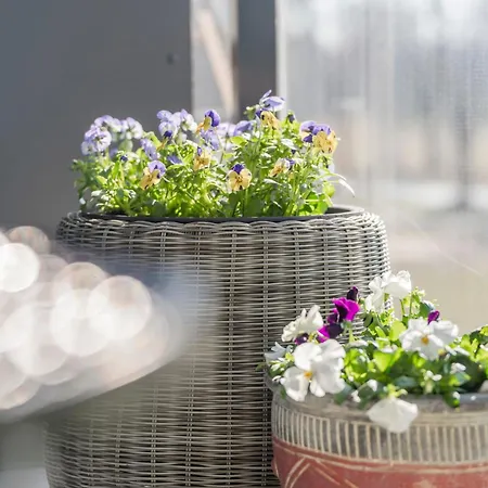 Moho Mezaparks Cozy New Privat Parking Apartman Riga